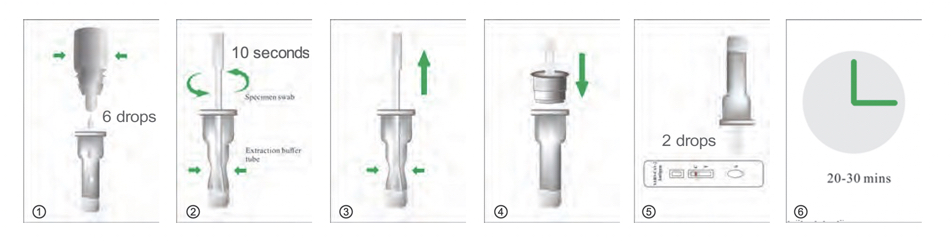 SARS-CoV-2 Antigen Rapid Qualitative Test Procedure