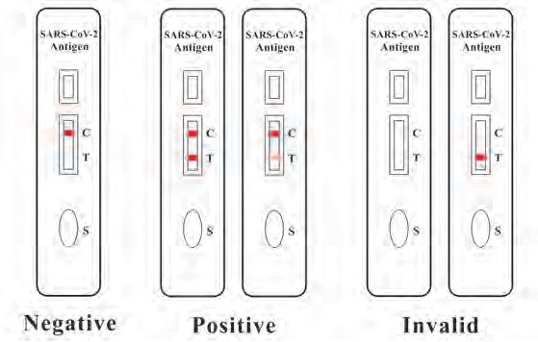 SARS-CoV-2 Antigen Rapid Qualitative Test ResultsSARS-CoV-2 Antigen Rapid Qualitative Test Results