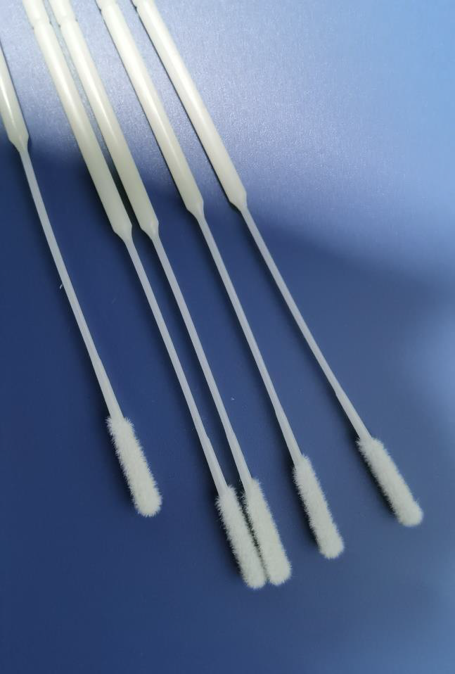 Sample-Collection-Flocked-Swabs