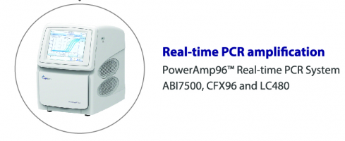 Real-time PCR Amplification Real-time PCR Amplification